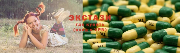 хмурый Аркадак