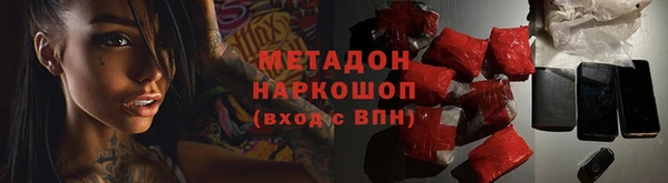 хмурый Аркадак