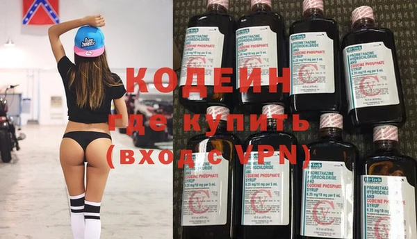 хмурый Аркадак