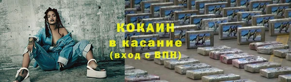 хмурый Аркадак