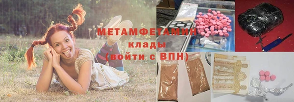 хмурый Аркадак