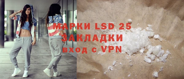 хмурый Аркадак