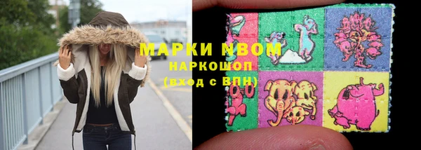 хмурый Аркадак